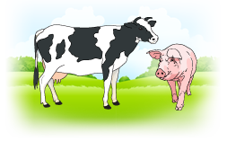 Illustration of a cow and pig in a field